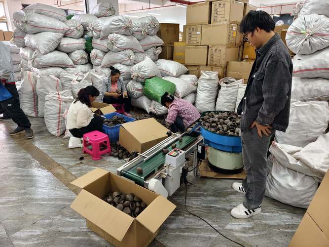 买果壳铃为什么要选择云愈果壳铃工厂？4个方面告诉你我们的优势