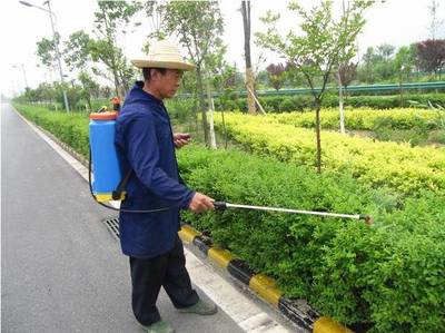 【怡轩园林东莞绿化养护,工厂绿化养护图片】怡轩园林东莞绿化养护,工厂绿化养护